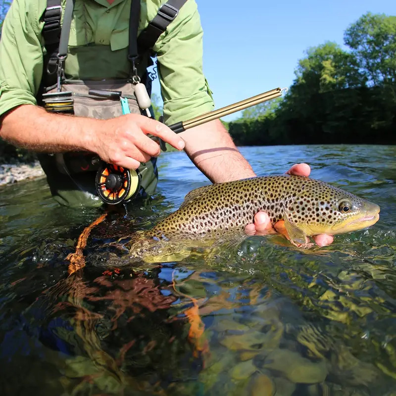 Easy Fish Hook Remover