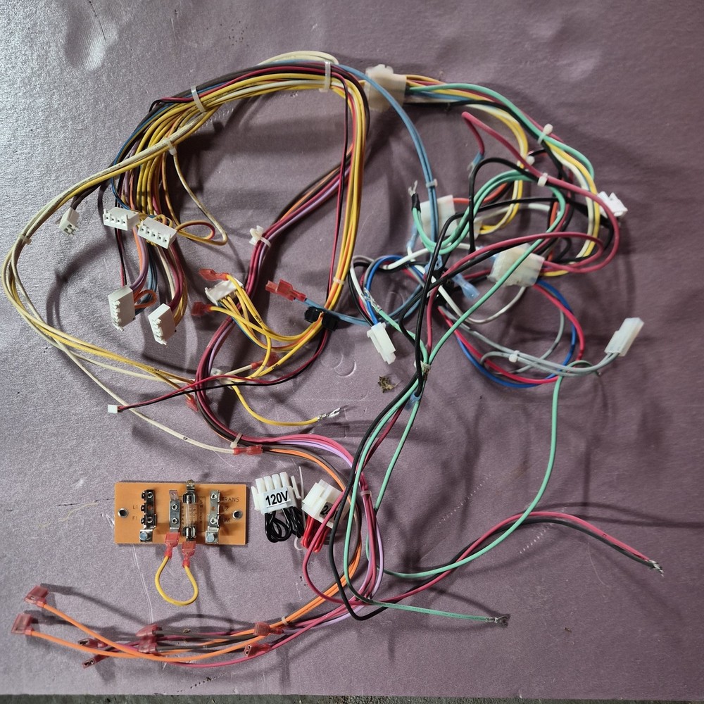 Pentair MasterTemp And Max-E-Therm Wire Harness And Components