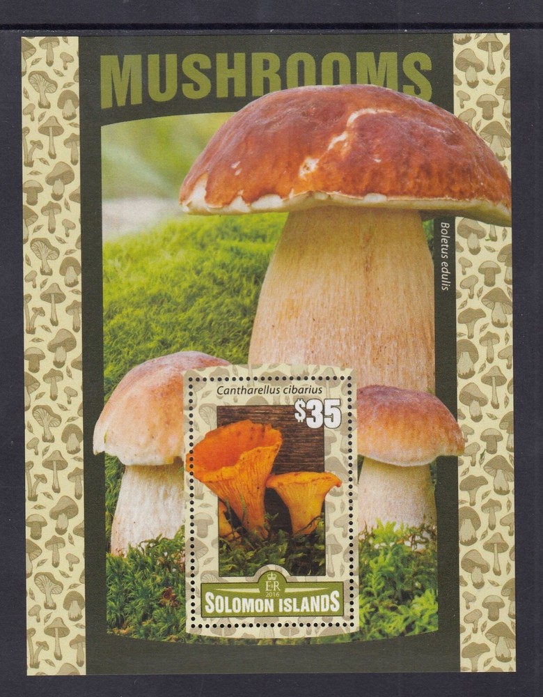 Solomon Islands: MUH Mini Sheet, 2016 $35.00 Mushrooms