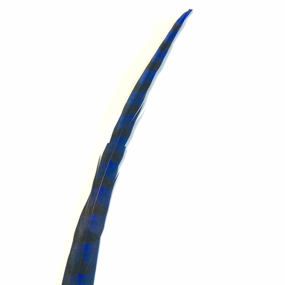 50" to 55" Reeves Pheasant Tail Feather - Royal