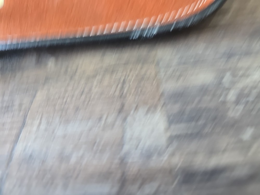 Vintage Leather Adjustable Gun Case With Bear