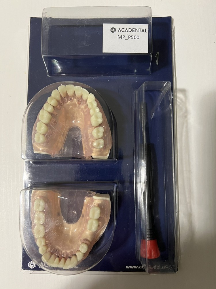 Acadental ModuPRO Perio Typodont Model MP_P500