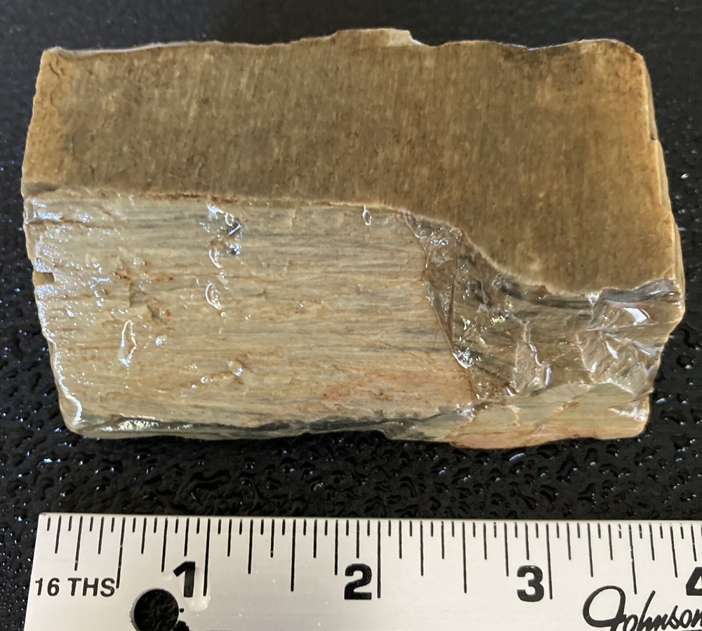 Petrified Wood Chunk - 12oz