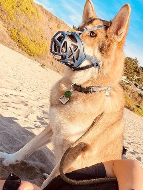 Adjustable Basket Muzzle for Small Medium Large Dogs - Gentle Anti-Bite Solution