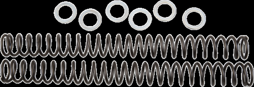 RACE TECH FRSP 444538 SPRING FORK FRSP444538