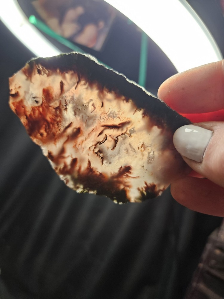 Plume Agate Multicolored Slab Specimen (1.76oz)