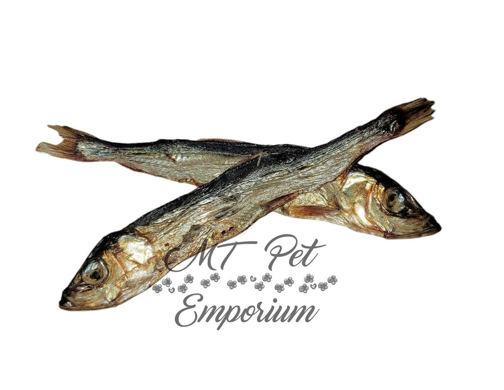 Herring - Hermit Crab Food