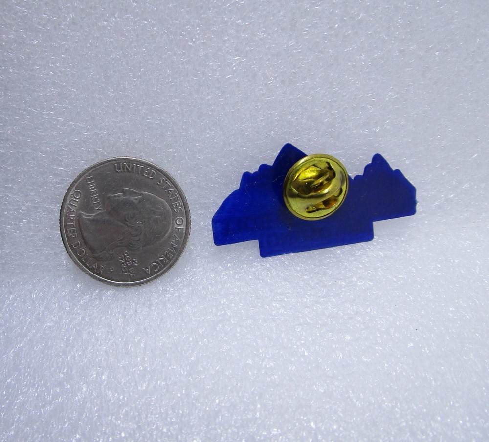 Jackson Hole Wyoming Cowboy Plastic Pin