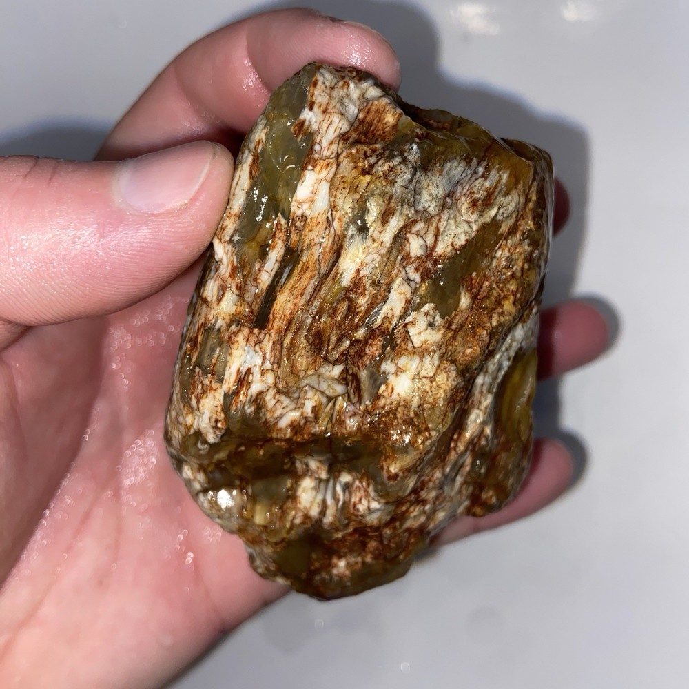 Cornflake Carnelian Unique Rough Lapidary Material 1 Pound 1.1 Oz