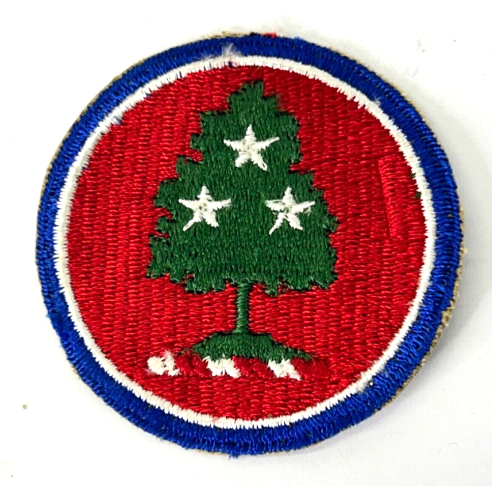 Tennessee National Guard Patch