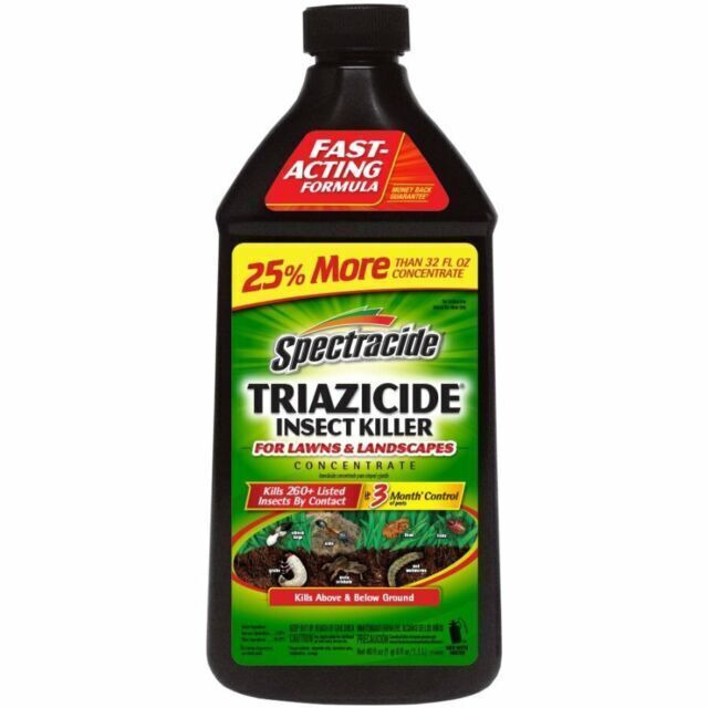 Spectracide Triazicide Insect Killer - 40 fl oz