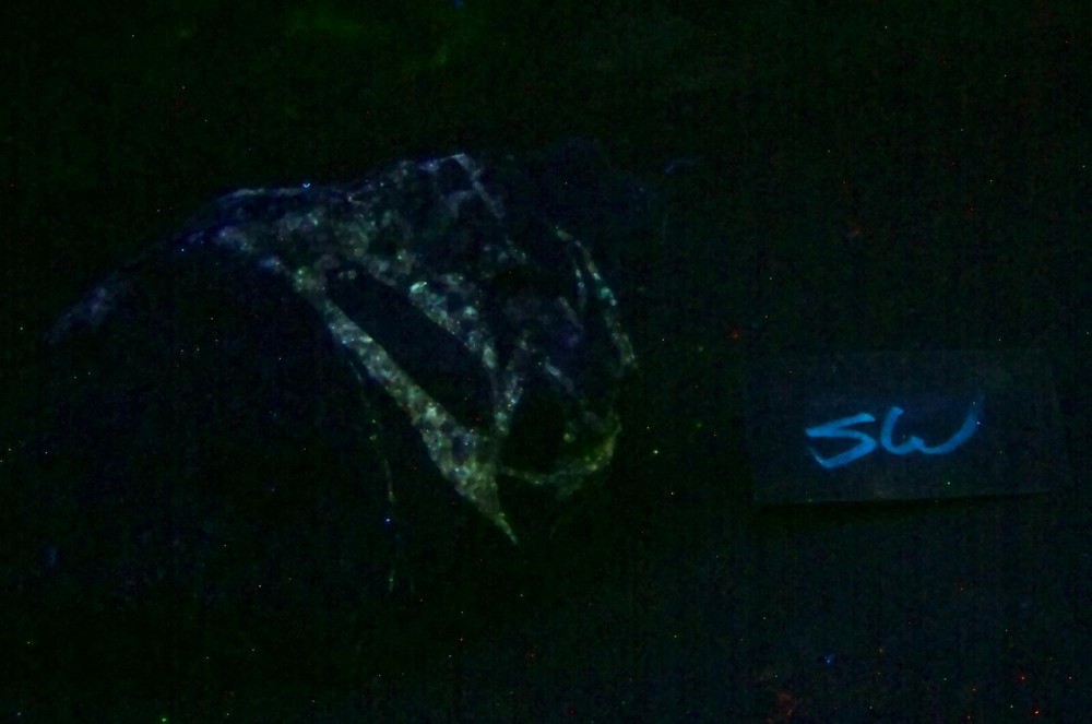 Fluorescent Yellow AZ Calcite Specimen