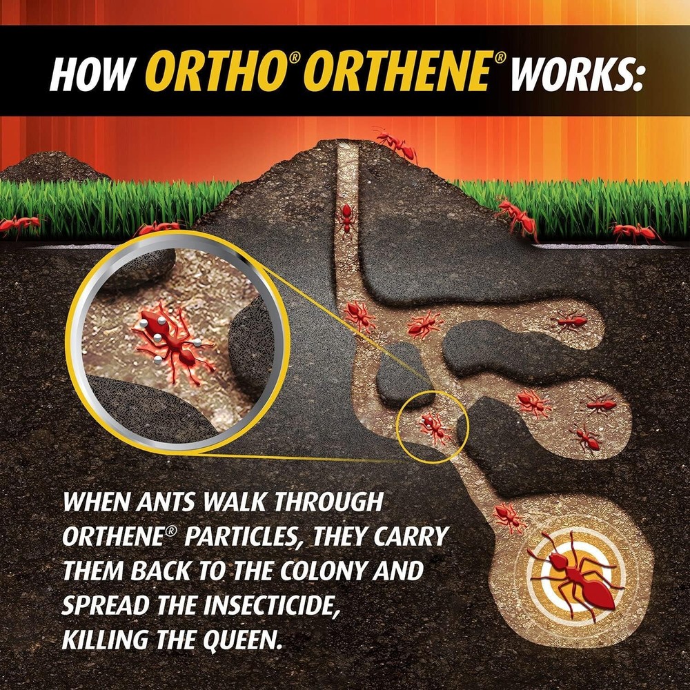 O THO Orthene Fire Ant Killer - 12oz