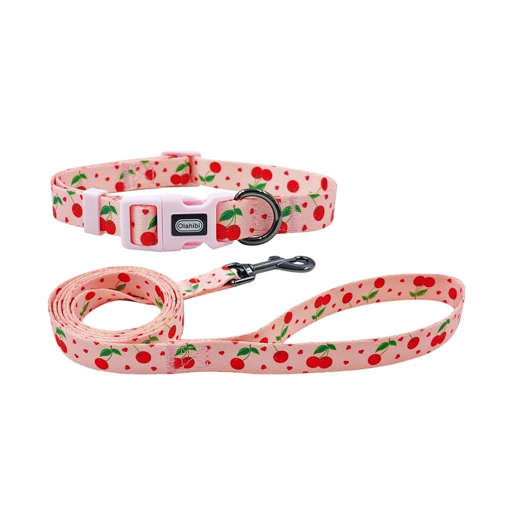 Dog Collar Leash Set Fruit Pattern Polyester Material Adjustable Collar and 5...