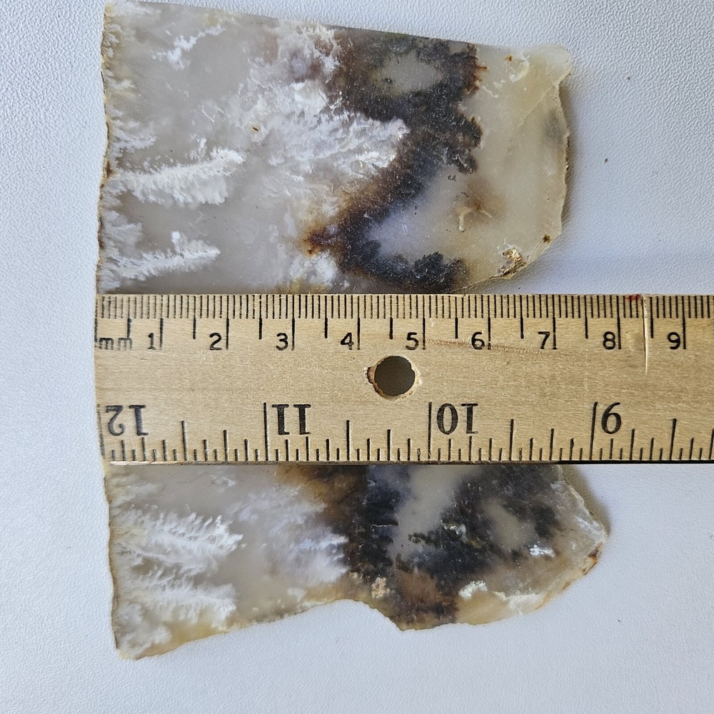 Nice Graveyard Plume Agate Lapidary Slabs 76 Grams