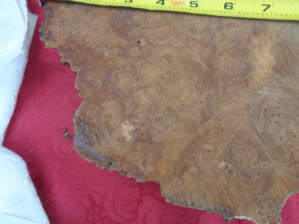 Burlwood Tree Slice #7