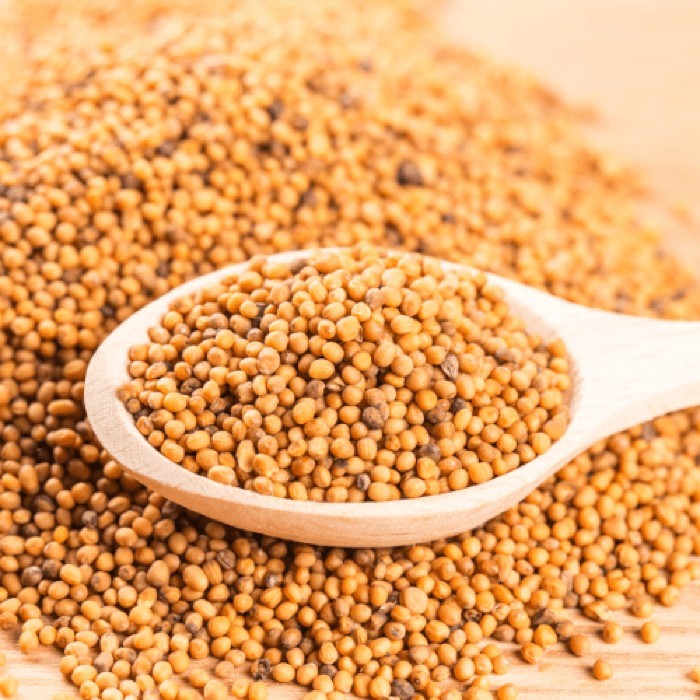 mostard seed_ semilla de mostaza~ 3 oz