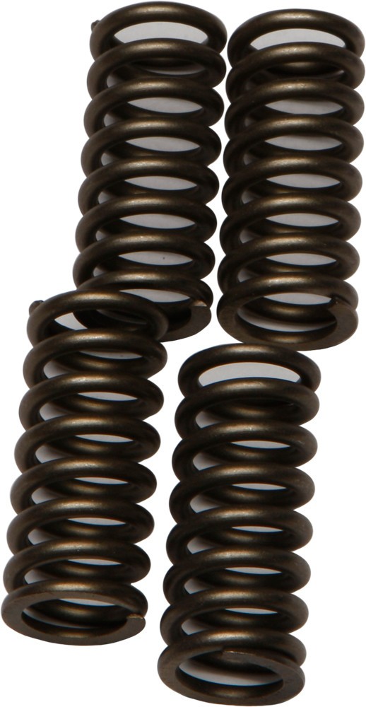 EBC CSK Clutch Spring Kit CSK174