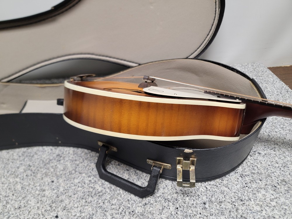 Vintage Kay Mandolin 8-String(Missing One) N7?