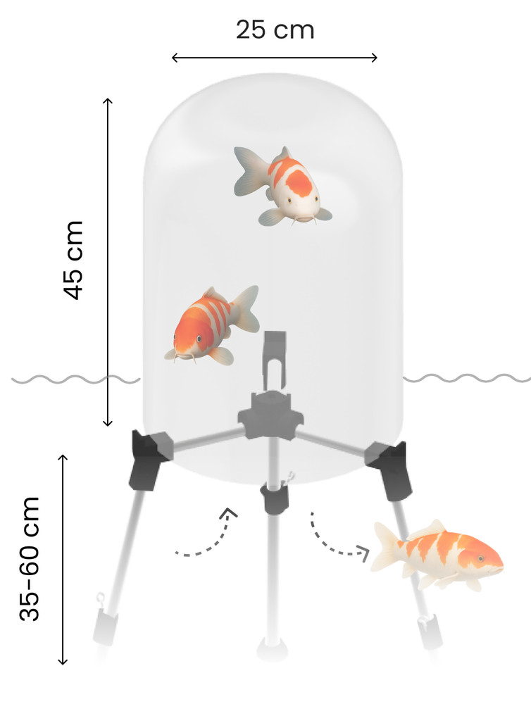 FishView