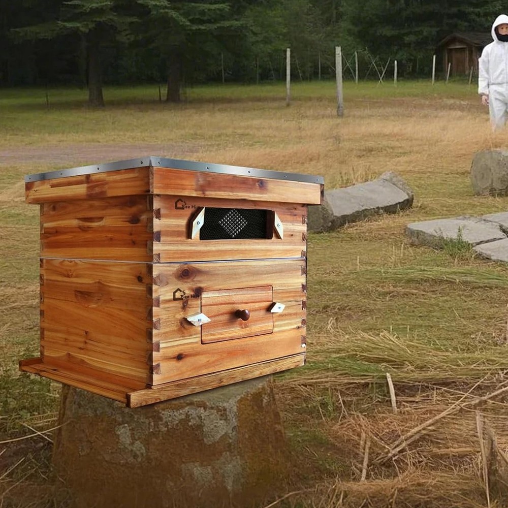 10-Frame Complete Beehive Frame Kit Wax Coated w/ 1 Deep Box 1 Medium Bee Box