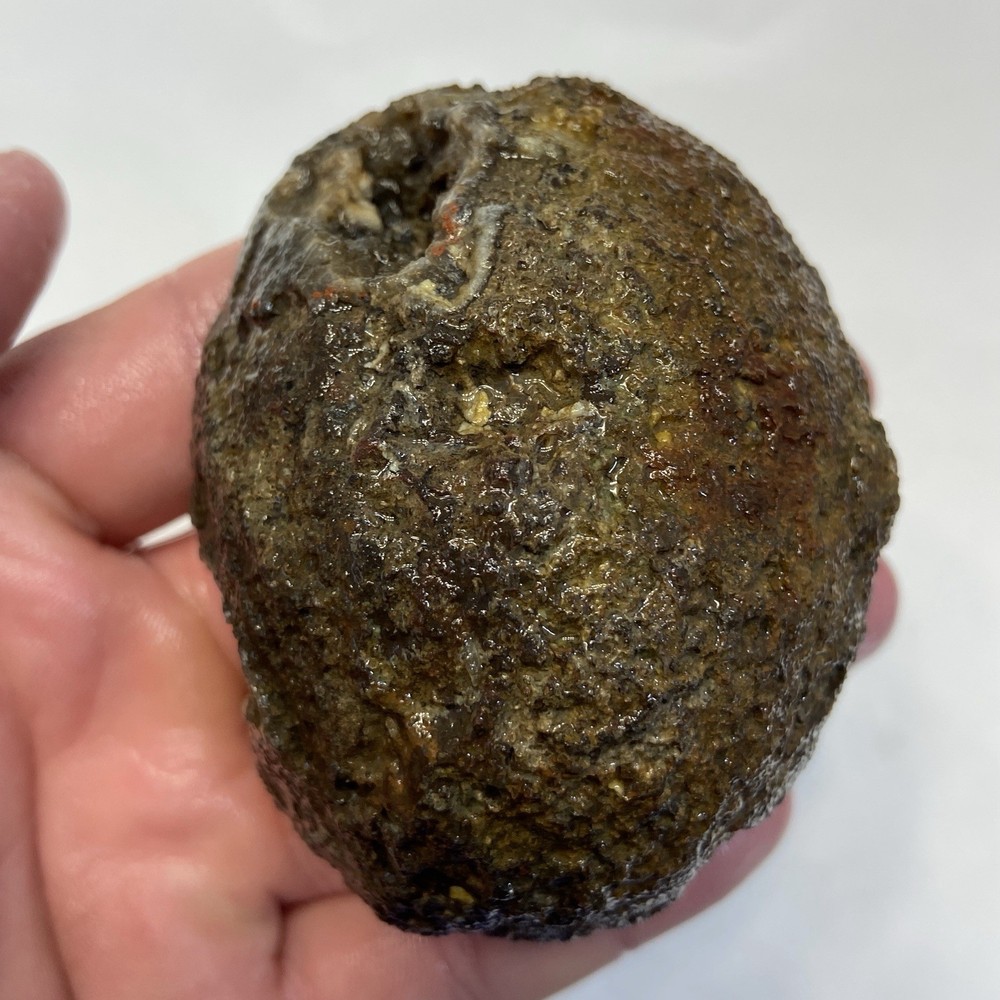 Orange Dendritic Agate Rough Lapidary Half 10.74 Oz