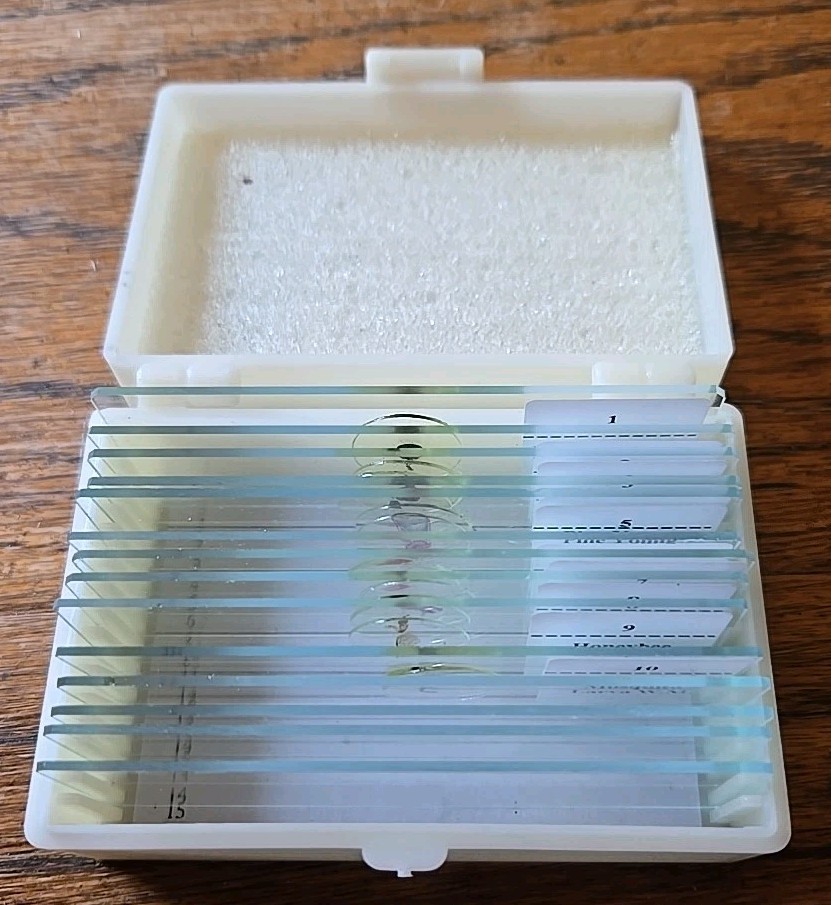 Microscope Slices - 10 Prepared, 4 Blank
