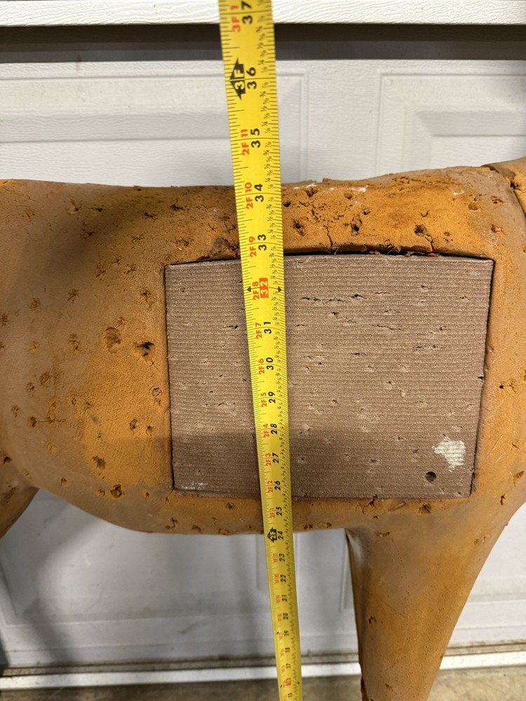 Bear Lights Out Compound Bow