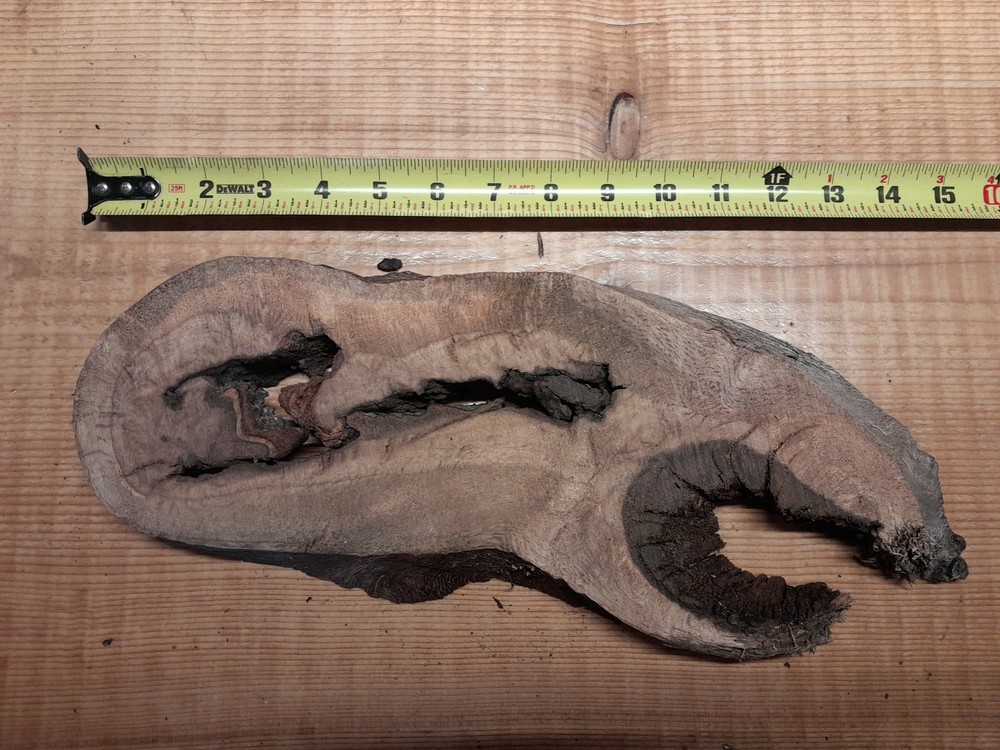 1 Inch Thick Oak Burl Slice