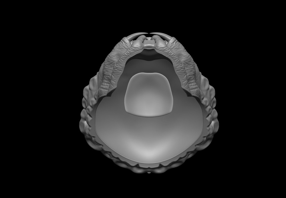 Predator Mask Face Jungle Hunter 1987 scale 1:1 File STL - OBJ for 3D Printer