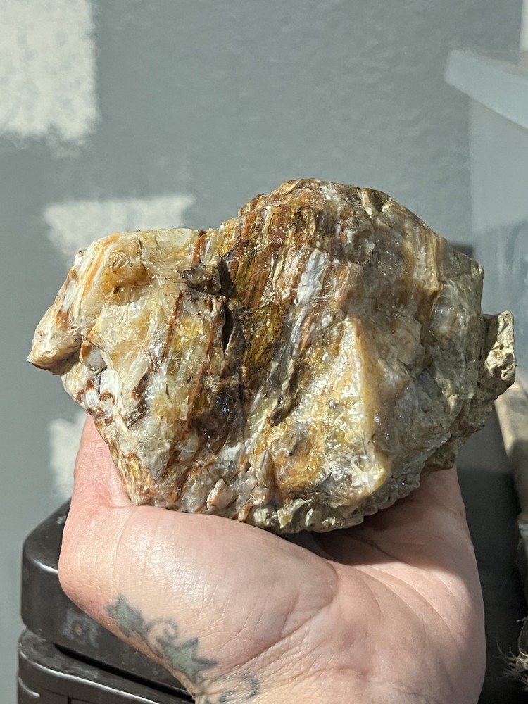 agatized or opalized petrified wood.