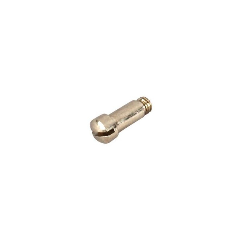 Roux 50cc Gudgeon Replacement Bolt