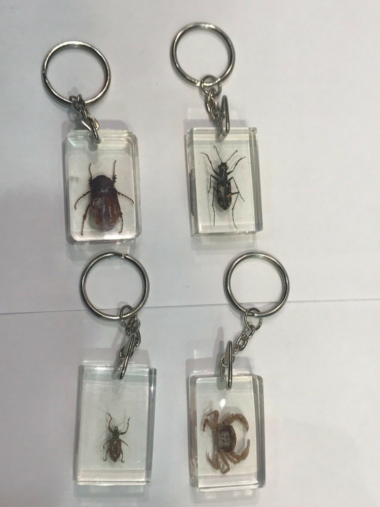 Insects Crystal Clear Keychain 12 Pcs