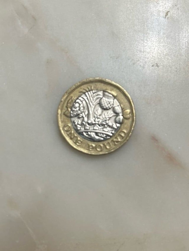 1 Pound 2017 Coins- SET OF 2