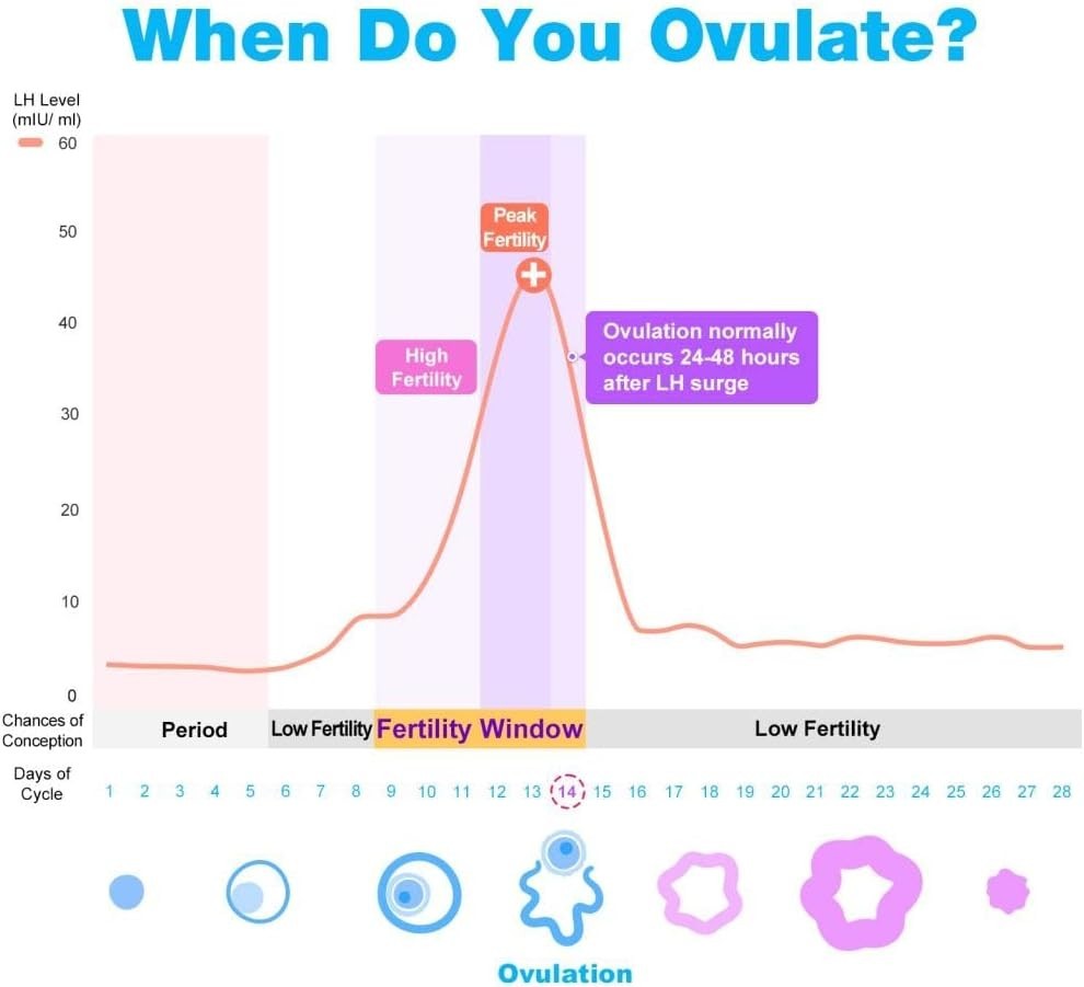 100-Pack Ovulation Strips - Fertility Predictor Kit