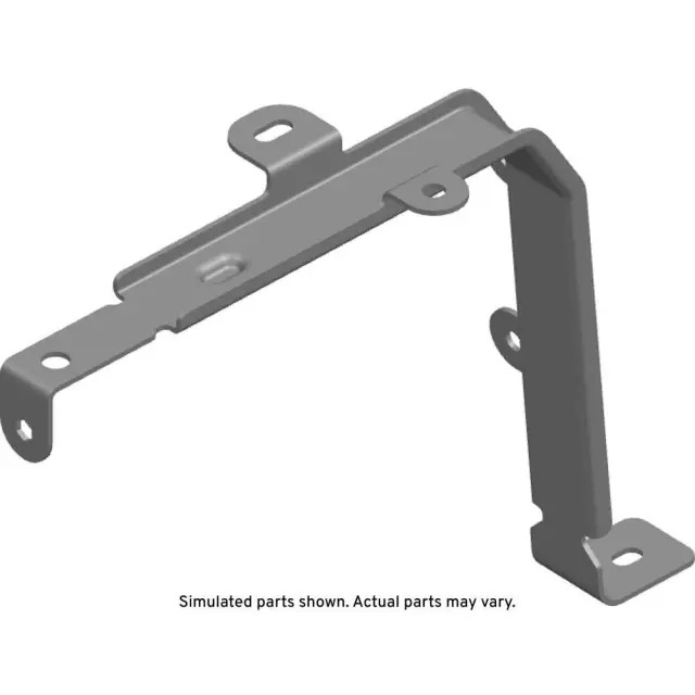 Genuine GM Strap 87844975