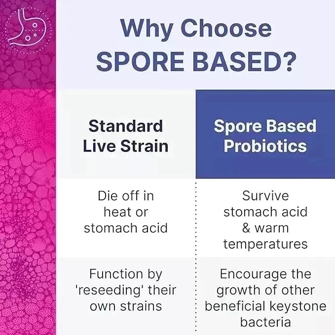 Mega Spore Biotic Probiotic 180Caps |Spore-Based Gut & Immune Support |Fast Ship