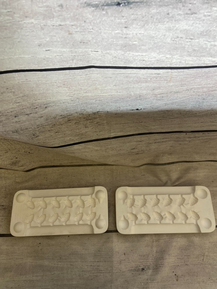 Tampa Bay Ceramic Casting Mold Cake Pinecones #161