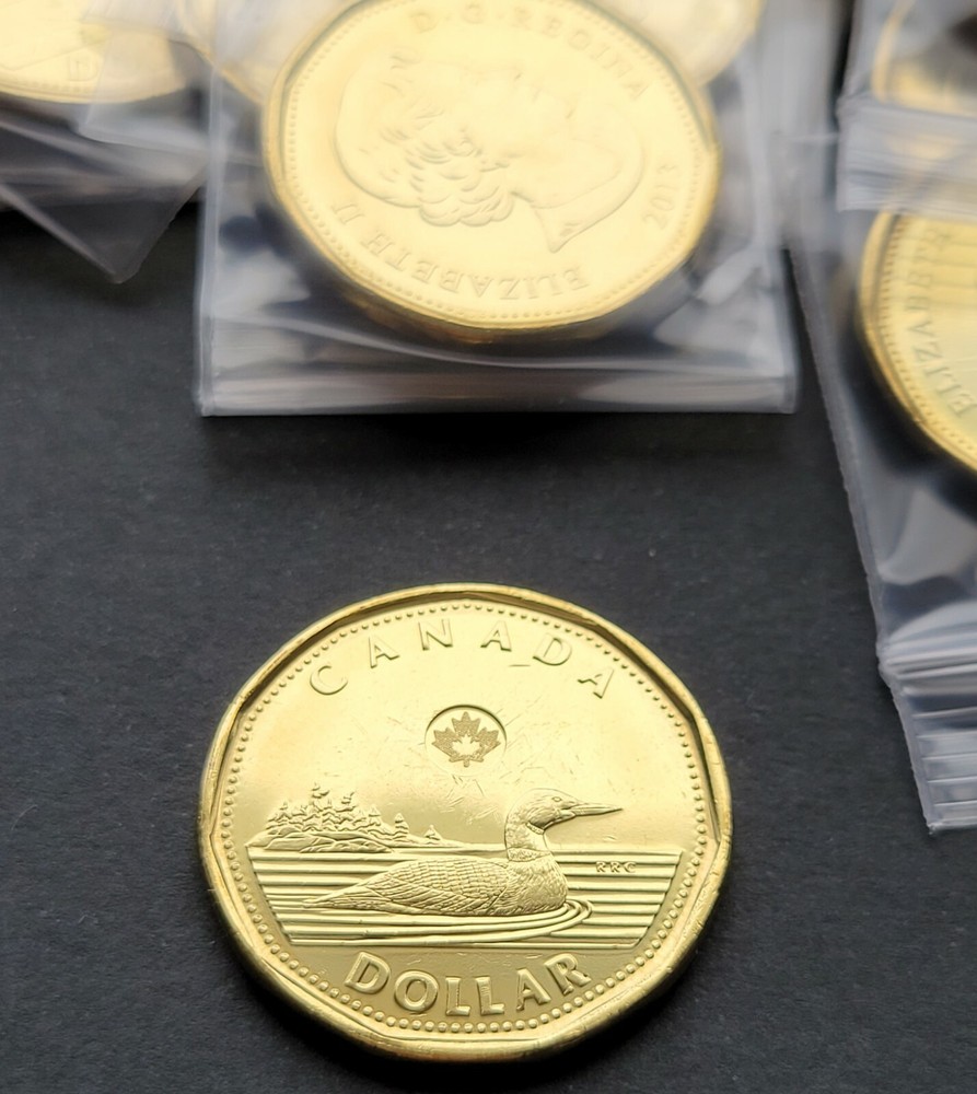 *** CANADA LOONIE 2013 *** FROM MINT ROLL ***