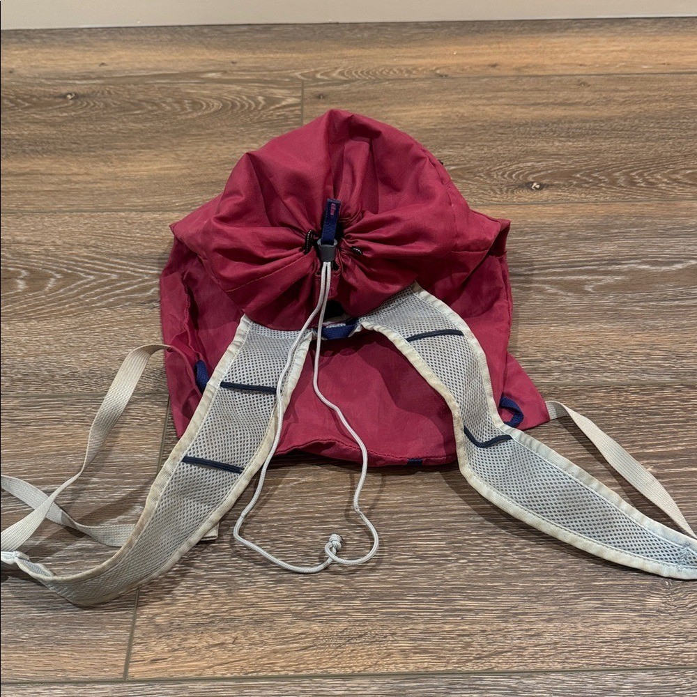 Gregory Pink Day Bag