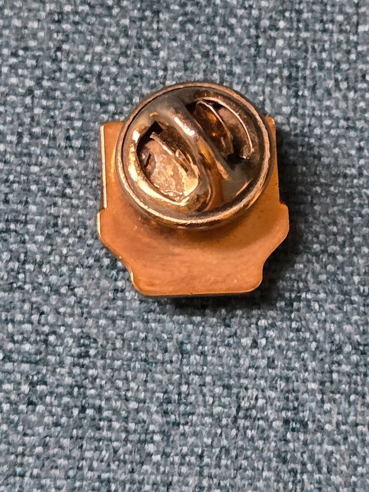 1984 Olympics Team USA Lapel/Hat Pin