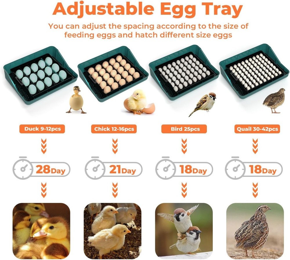 Automatic Egg Incubator for Hatching with Automatic Turning and Humidity- 25Eggs