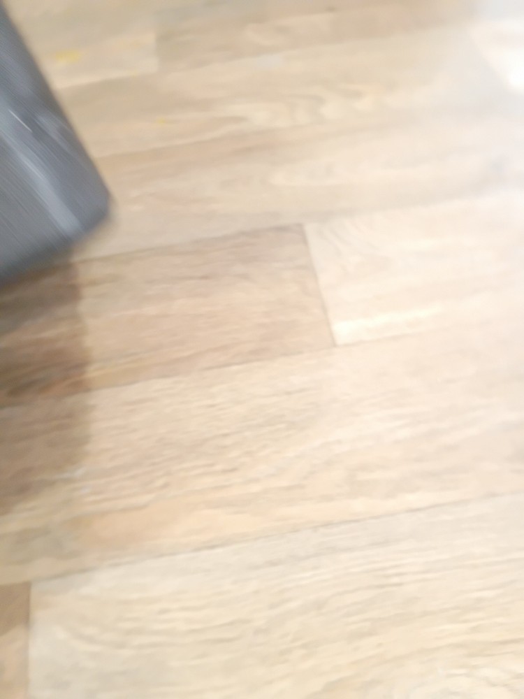 Coleman Propane Lantern Northstar 2500 Hard Case