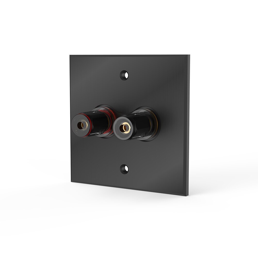 Speaker Binding Post Faceplate Audio Terminal Panel 5.1 System 86 Type Banana