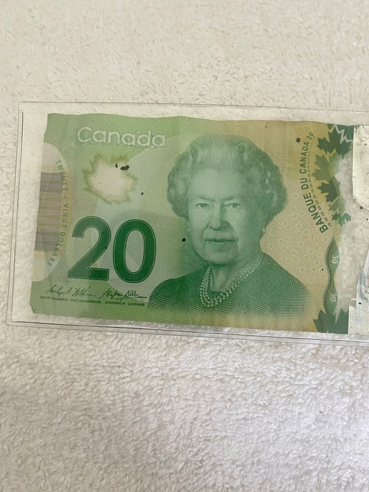 20 DOLLARS CANADA 2020