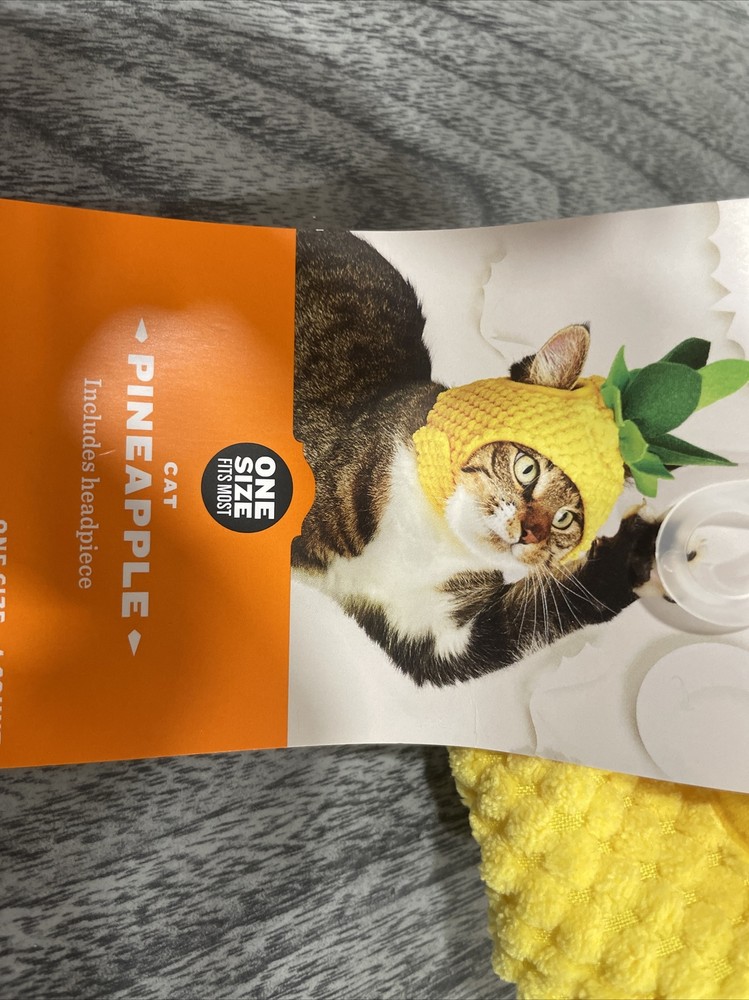 Hyde And Eek Boutique Pineapple Headpiece For cats