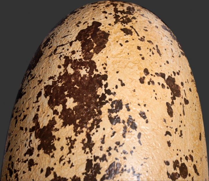 Dinosaur Theropod Egg 12"