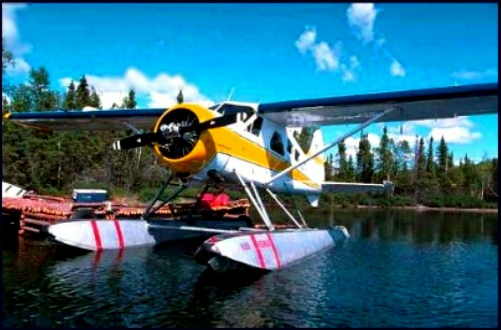 RC plans Full size Patterns De Havilland BEAVER