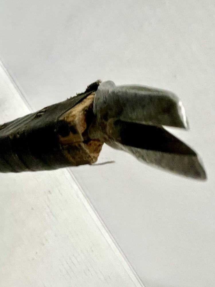 1924 25 Antique Estwing Util-Ax Axe Hatchet Multi Trappers Tool Utilax Utilaxe +