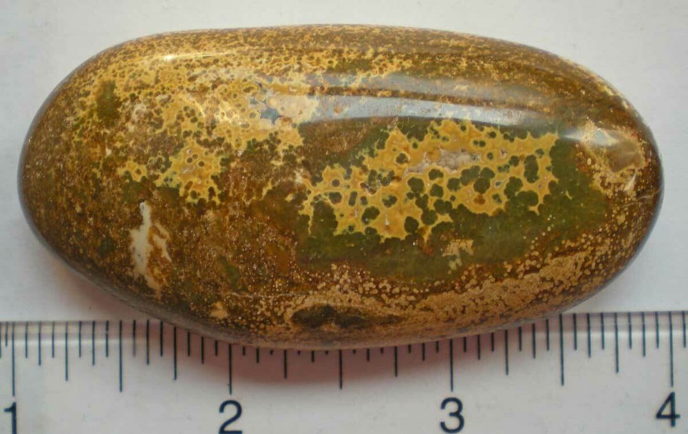 Ocean Jasper Palm Stone sc687r